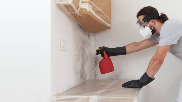 Professional Mold Remediation technician working in Cedarville, MI