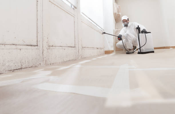 24/7 Emergency Mold Remediation experts in Cedarville, MI