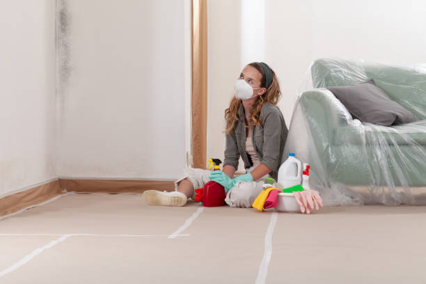 Reliable Mold Remediation contractor in Cedarville, MI by 24 Hour Mold Removal